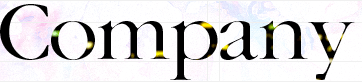 Company